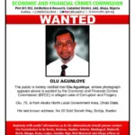 EFCC declares Obasanjo’s minister Olu Agunloye wanted
