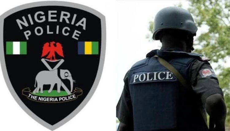 police-arrest-suspected-cultist-in-ebonyi,-recover-firearms