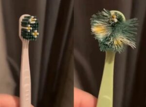 Mixed Reactions As Woman Shows Difference Between Her Husband’s Toothbrush And Hers (Video)