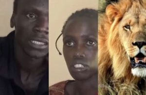 Young Couple Hospitalized After Being Attacked By A Lion