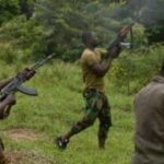 2-killed-in-fresh-attack-on-benue-community