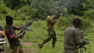 2 Killed In Fresh Attack On Benue Community