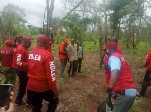 NDLEA Apprehends Adaobi Nweke, Five Family Members For Drug Trafficking