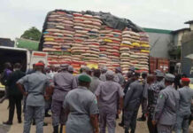 Nigeria Customs Service to Distribute Seized Food Items Starting Today