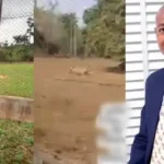 !lls OAU zookeeper while he was feeding the animal