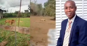 OAU Zookeeper Was Trying To Rescue Woman From Lion Before He Was Killed – NASU Chair Says