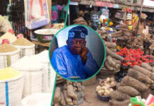 Nigerians Face More Economic Challenges as Food Inflation Soars to 40%