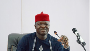 Insecurity: Ebonyi Govt Asks Security Agencies To Set Up Joint Task Force