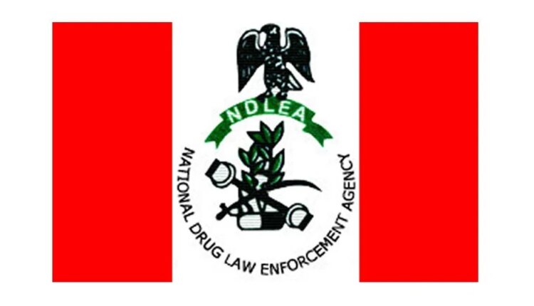 illicit-drugs:-ndlea-warns-hoteliers-against-allowing-substances-on-premises