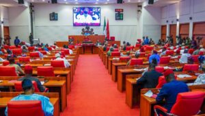 Terrorism Financing: Senate Amends Legal Assistance In Criminal Matters Act