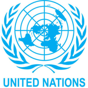 UN General Assembly Deliberates AI: Balancing Innovation, Regulation