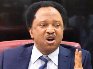 El-Rufai: I Warned Like A Prophet – Shehu Sani On $350m Kaduna Loan