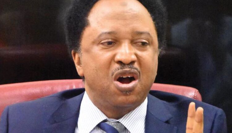 el-rufai:-i-warned-like-a-prophet-–-shehu-sani-on-$350m-kaduna-loan