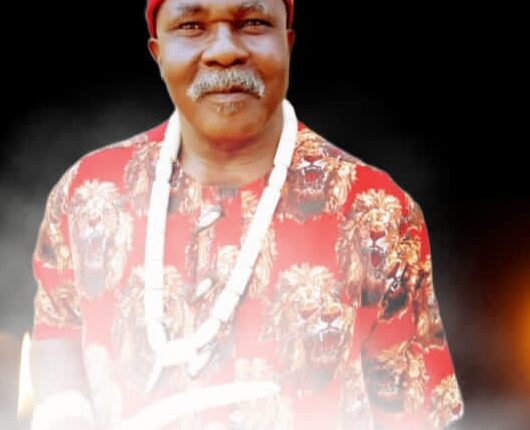 anambra:-gunmen-kill-ex-president-general-of-amansea,-nwokike