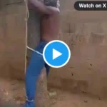 APC chairman