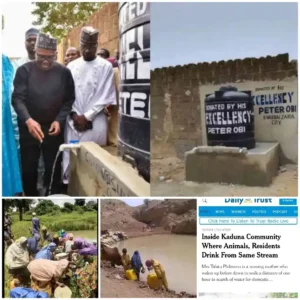 Arewa Group Issues Strong Warning to Peter Obi Over Alleged Substandard Boreholes in Northern Communities Without Clean Water for 30 Years