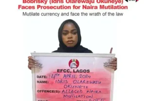 Bobrisky Sentenced to 6 Months in Prison for Naira Abuse