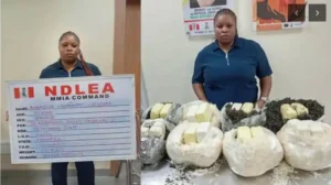 NDLEA Halts Drug Shipment To Qatar, Refuses N5m Bribe Offer