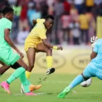 south africa vs nigeria