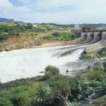 "Tanzania shuts down 5 power stations to tackle electricity surplus."
