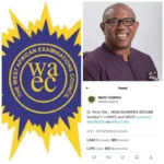 WAEC Deletes Online Video Evidence Showing How Peter Obi Took Anambra State to Number One