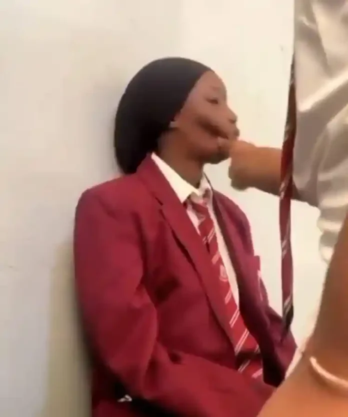 lead british international school bully Video