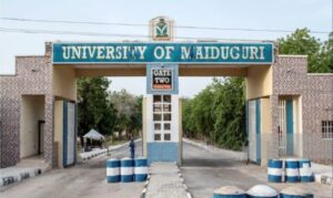 UNIMAID VC Breaks Silence, Addresses Lecturer’s Office Murder