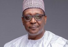 Health Minister Cautions Nigerians Against Excess Salt Consumption health-minister-cautions-nigerians-against-excess-salt-consumption