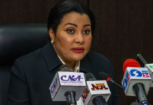 FG Announces Date for Local Vehicle Production Kickoff Minister of Industry, Trade and Investment, Doris Uzoka-Anite,