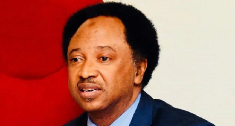 Protest: Shehu Sani Reveals Only Way Organisers Will Submit Details To Police