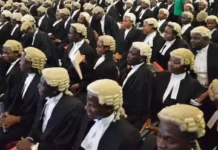 LPPC Shortlists 98 Lawyers for Senior Advocate of Nigeria (SAN) Rank (Full List) 98 Lawyers Shortlisted for Senior Advocate Of Nigeria Rank
