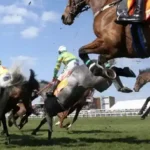 President Tinubu’s Horse Wins Horse Racing Derby In Kaduna