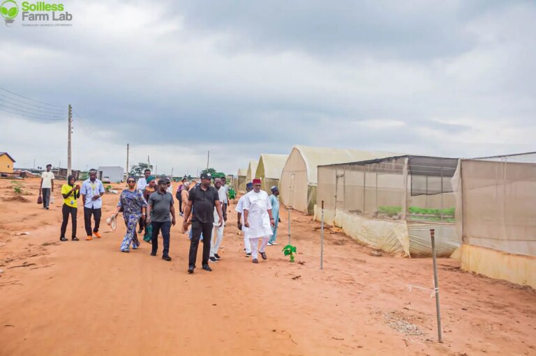 Food Security: Niger Govt Delegation Embarks On Fact-Finding Mission To Ogun