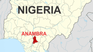 ANSIEC Begins Recruitment Of Adhoc Staff For LG Elections