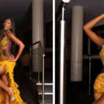Chidimma Adetshina Wins Miss Universe Nigeria 2024