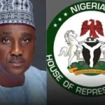 Breaking: House of Reps seeks 10 Year prison sentence; N5million fine for Nigerians who refuse to recite national anthem