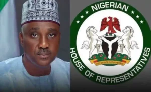 Breaking: House of Reps seeks 10 Year prison sentence; N5million fine for Nigerians who refuse to recite national anthem