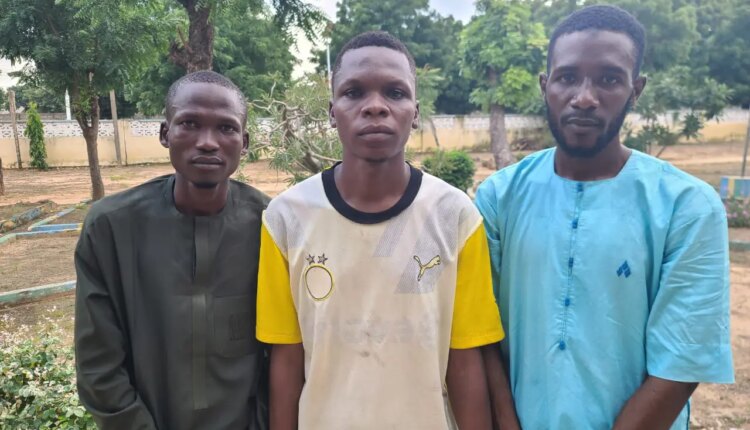 police-arrest-man-for-kidnapping-his-four-year-old-cousin-in-kano