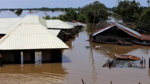 Again, Flood Kills 4, Injures 43 Persons In Yobe