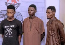 Nigeria Police Arrest Four Over Alleged Sextortion, Romance Scam nigeria-police-arrest-four-over-alleged-sextortion,-romance-scam