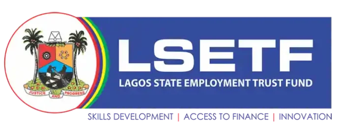 Strategy Officer at the Lagos State Employment Trust Fund (LSETF)