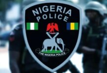Warn Your Children Against Partaking In Protests – Police Tell Jigawa Residents warn-your-children-against-partaking-in-protests-–-police-tell-jigawa-residents