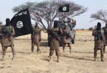 ISWAP Invades Geidam Town In Yobe, Kills Resident, Destroys Properties iswap-invades-geidam-town-in-yobe,-kills-resident,-destroys-properties