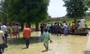 3 Feared Dead In Adamawa Canoe Mishap