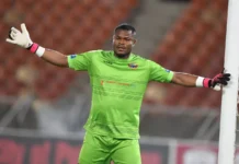 CAF Awards 2024: Nwabali Nominated For Goalkeeper Of The Year caf-awards-2024:-nwabali-nominated-for-goalkeeper-of-the-year