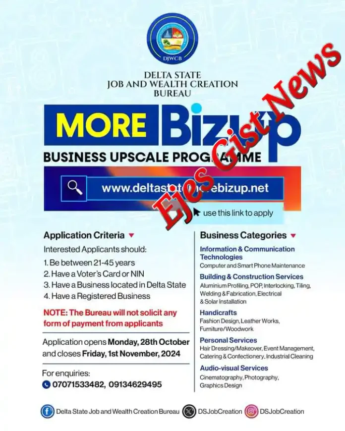 How to Apply for Delta State's M.O.R.E Biz-Up Programme