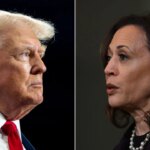 us-election:-over-77-million-voters-have-cast-ballots