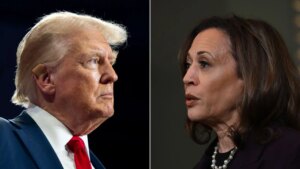 US Election: Over 77 Million Voters Have Cast Ballots