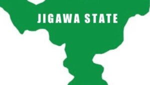 Two Persons, 40 Donkeys Die In Jigawa Road Accident