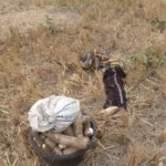 Armed Herdsmen Attack Enugu Community, Kill Three Farmers, Destroy Crops
